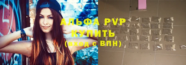 тгк Каменногорск