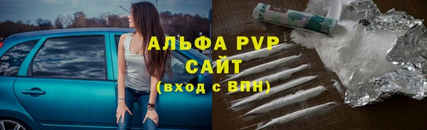 тгк Каменногорск