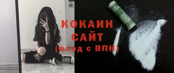 тгк Каменногорск