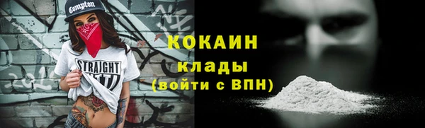 тгк Каменногорск