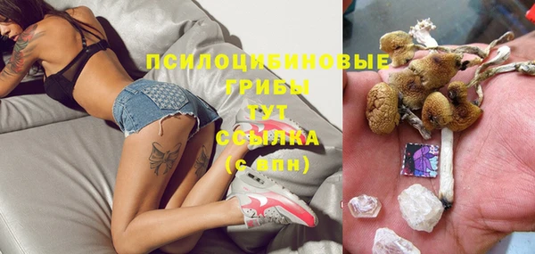 тгк Каменногорск