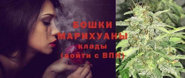 тгк Каменногорск