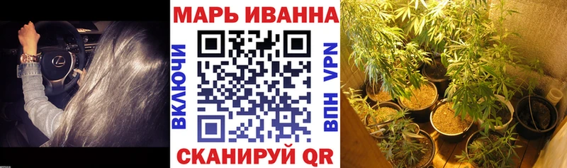 Конопля MAZAR  купить   Сурск 